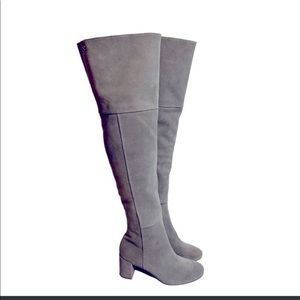 TARYN ROSE Catherine Over the Knee Suede Leather Boots